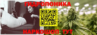 mdpv Можга