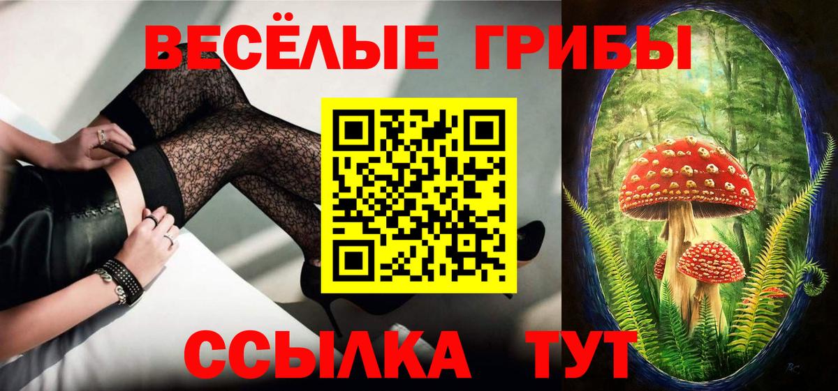 Псилоцибиновые грибы Psilocybe  Вход с VPN  Великие Луки 
